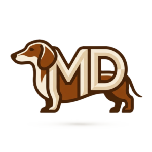 Where to Get a Mini Dachshund